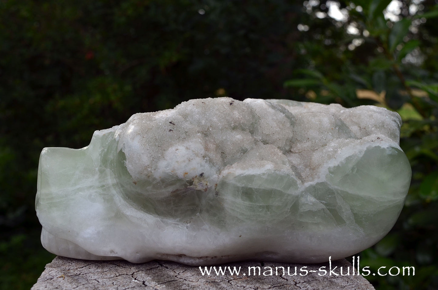 Large Apophyllite Dragolian (#36)
