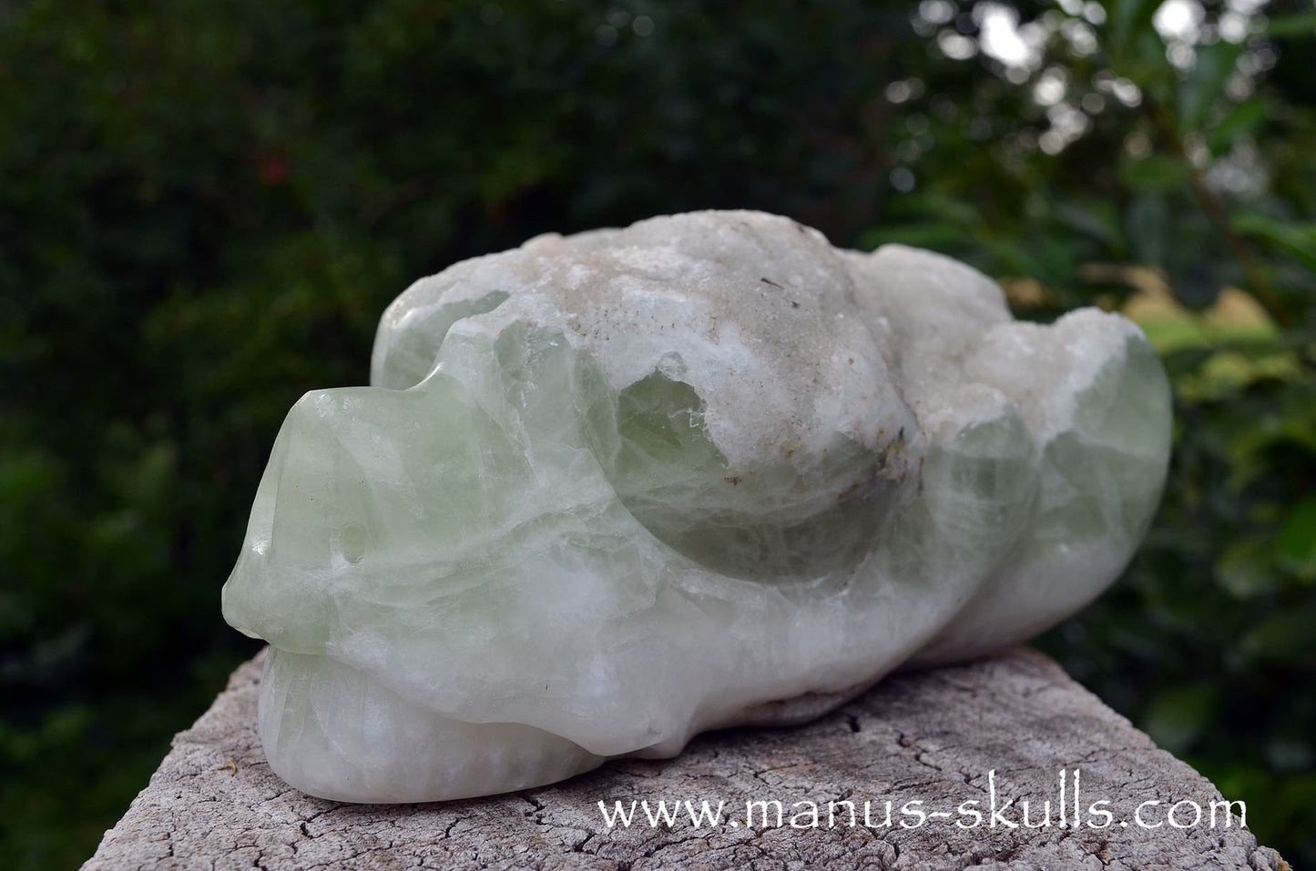 Large Apophyllite Dragolian (#36)