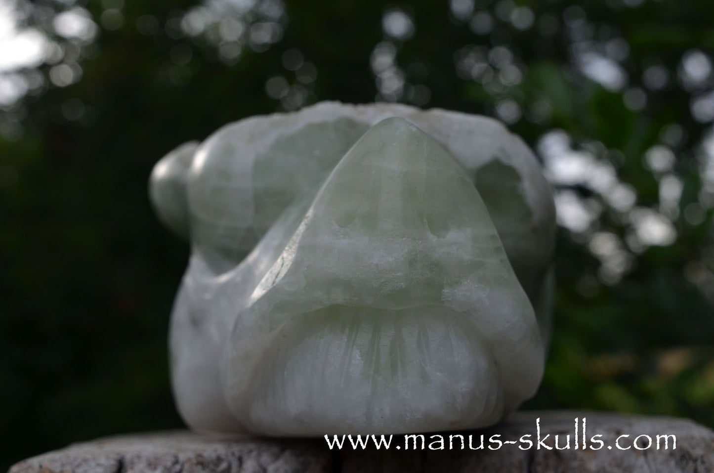 Large Apophyllite Dragolian (#36)