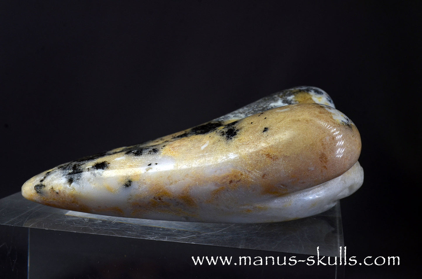 Dendritic Agate Dragolian. (#37)