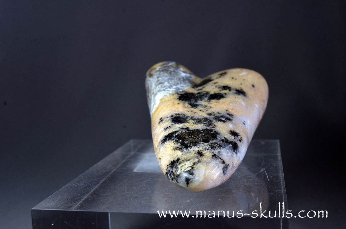 Dendritic Agate Dragolian. (#37)