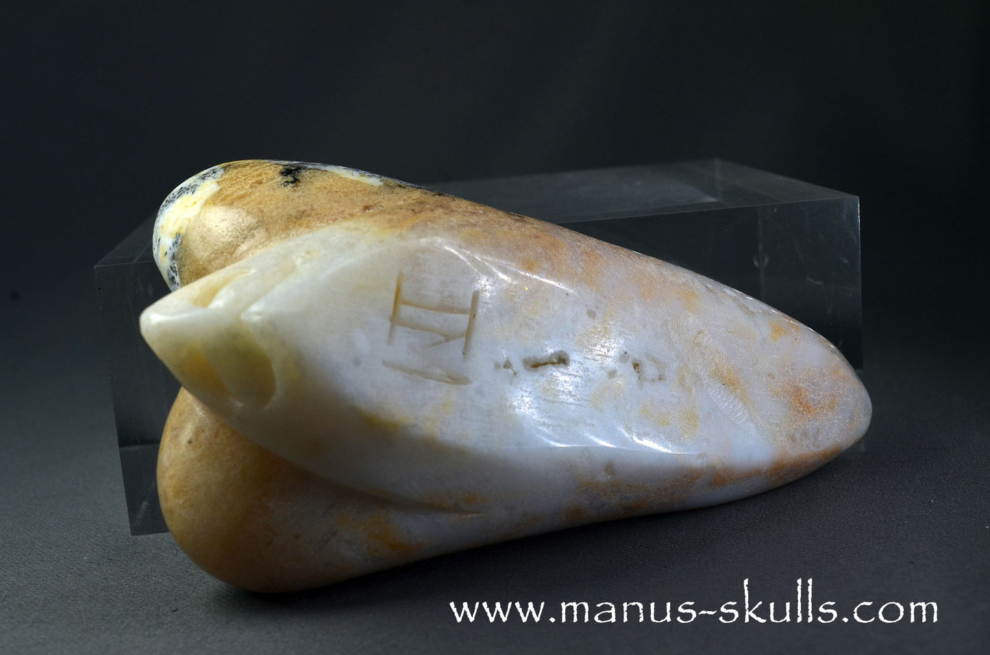 Dendritic Agate Dragolian. (#37)