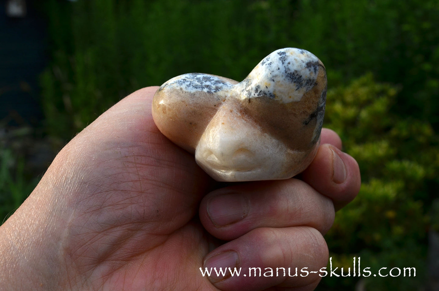 Dendritic Agate Dragolian. (#37)
