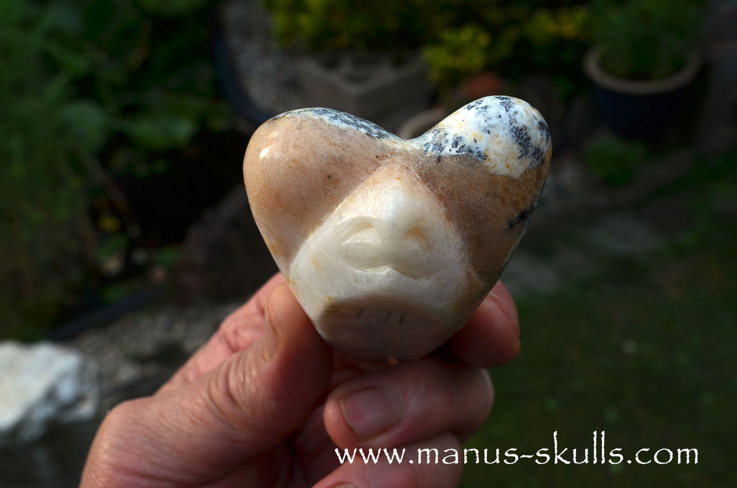Dendritic Agate Dragolian. (#37)