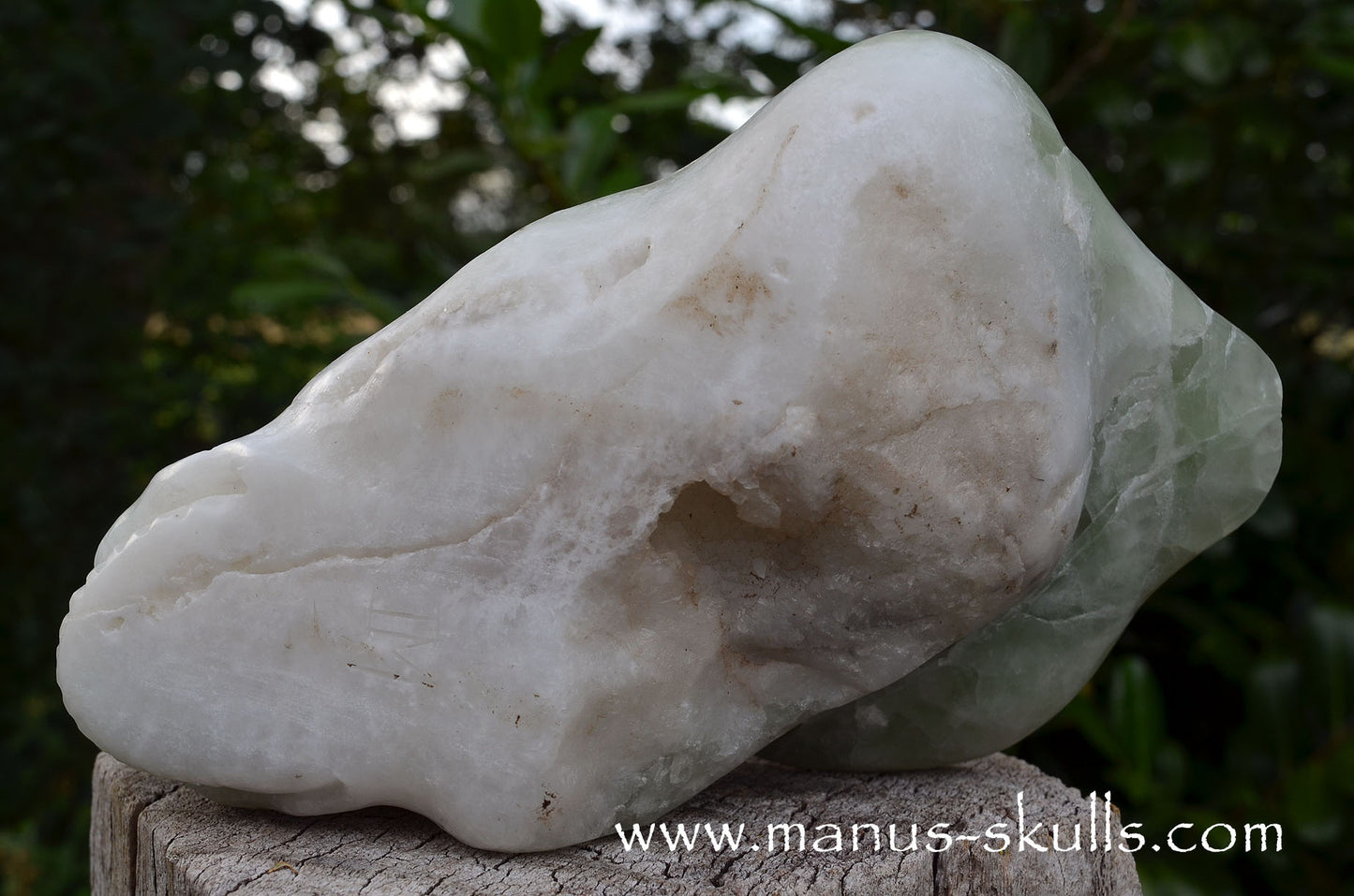 Large Apophyllite Dragolian (#36)