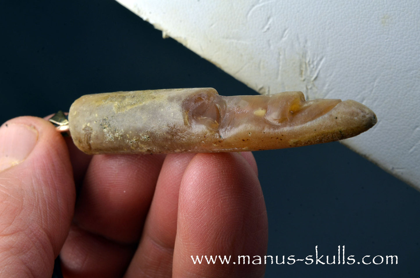 Belemnite Fossiel Tribal Pendant (#13)