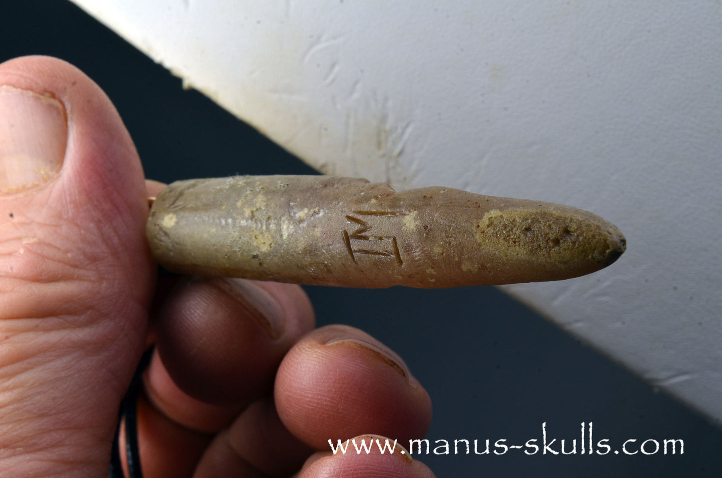 Belemnite Fossiel Tribal Pendant (#13)