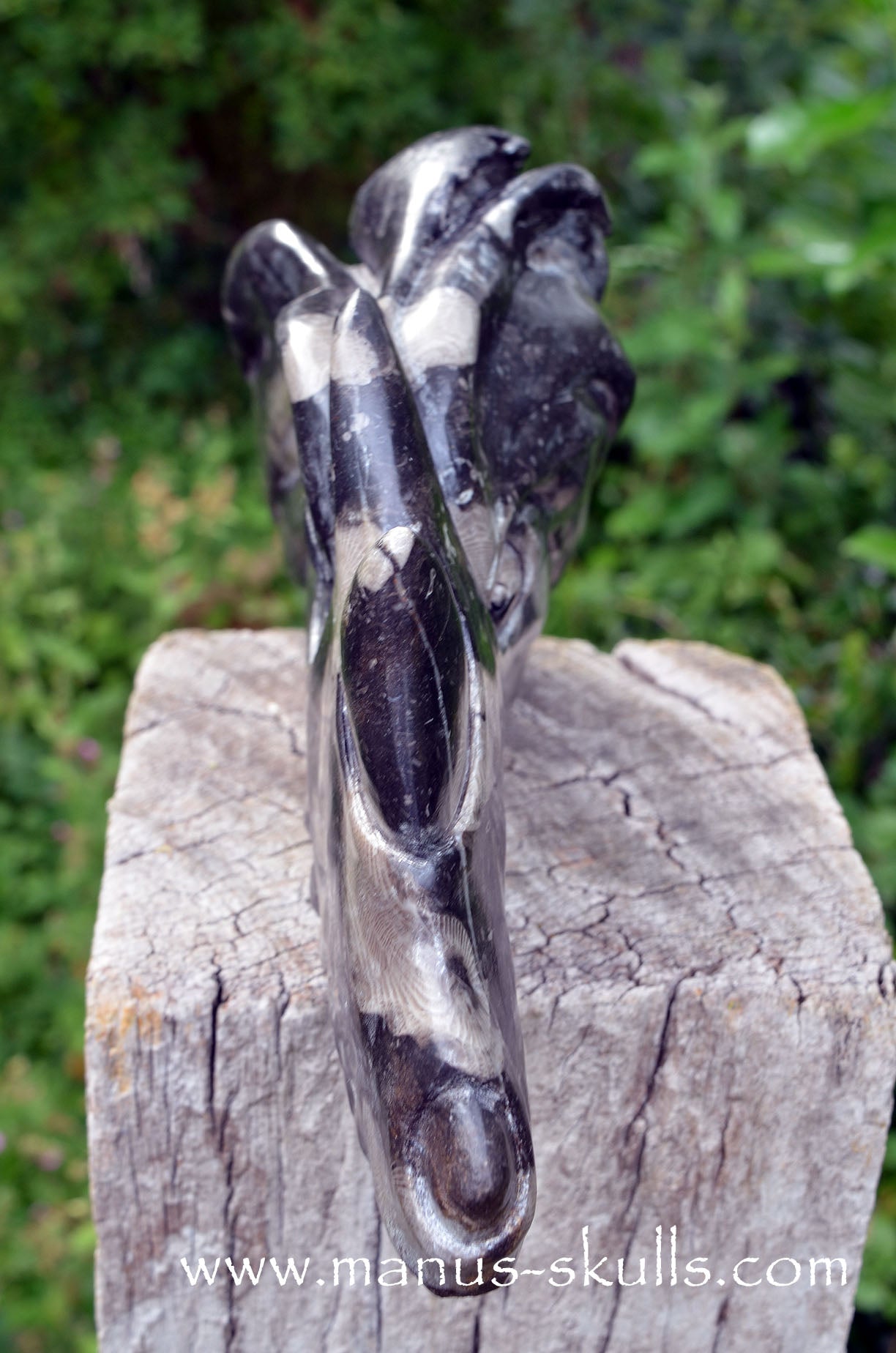 Manus skulls Evolians Dragolians unique Crystal Carvings handmade skulls dragons pendants preseli bluestone tribals spiritual meaning wand Unicorn ..  frosterley Marble