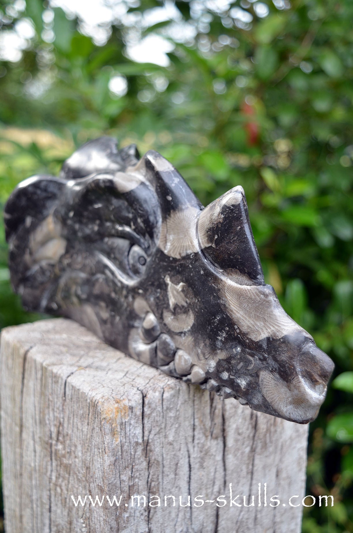 Manus skulls Evolians Dragolians unique Crystal Carvings handmade skulls dragons pendants preseli bluestone tribals spiritual meaning wand Unicorn ..  frosterley Marble