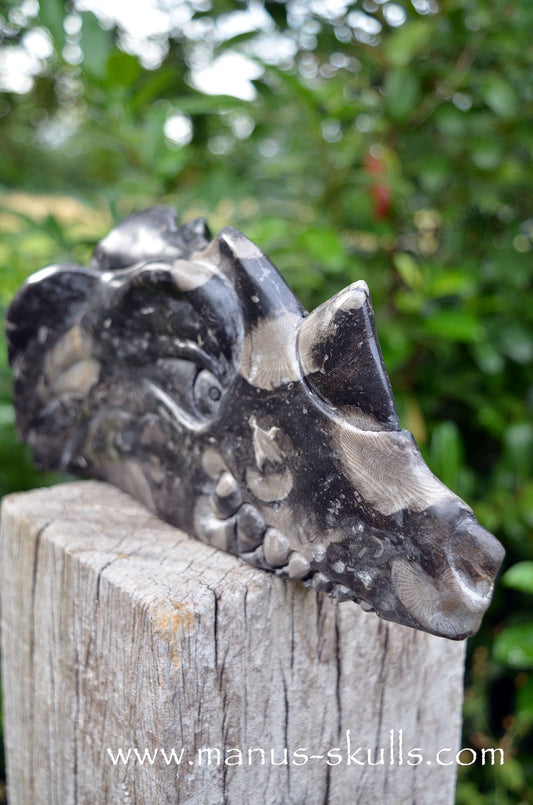 Manus skulls Evolians Dragolians unique Crystal Carvings handmade skulls dragons pendants preseli bluestone tribals spiritual meaning wand Unicorn ..  frosterley Marble