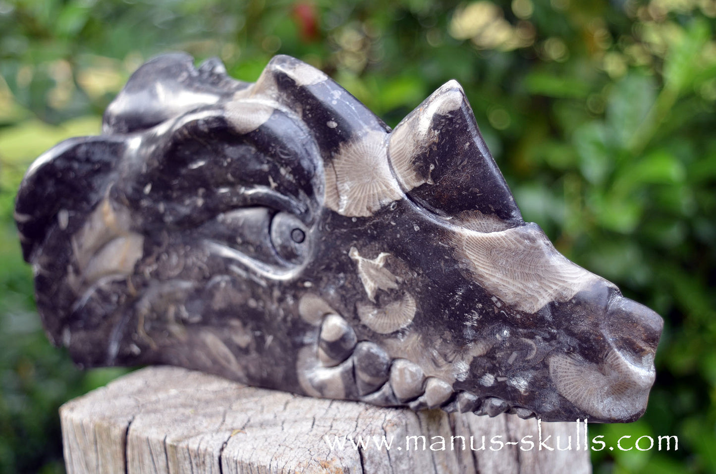 Large Frosterley Marble Dragon