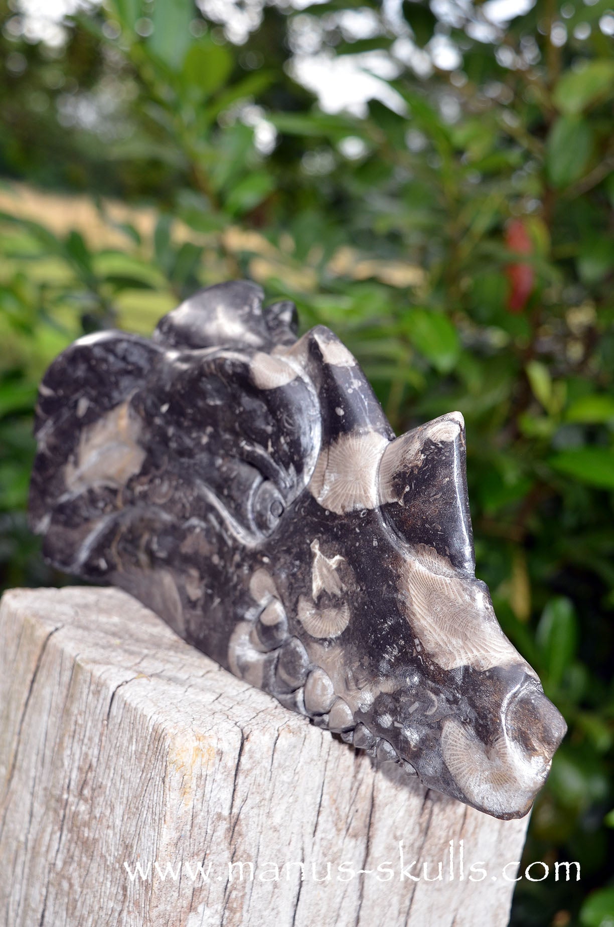 Large Frosterley Marble Dragon