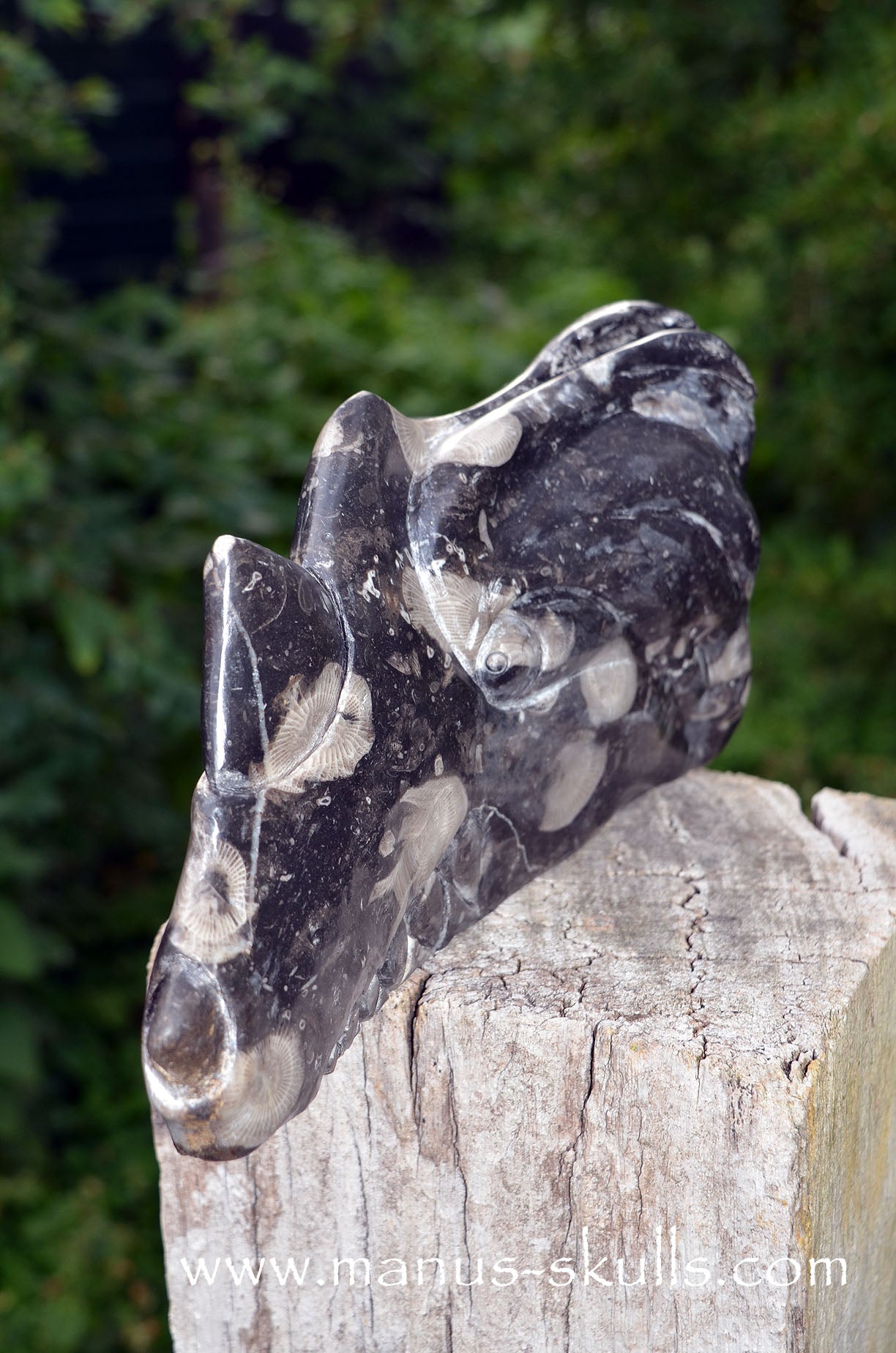 Large Frosterley Marble Dragon
