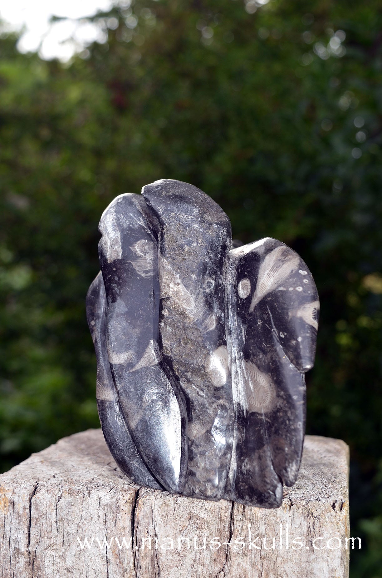 Large Frosterley Marble Dragon