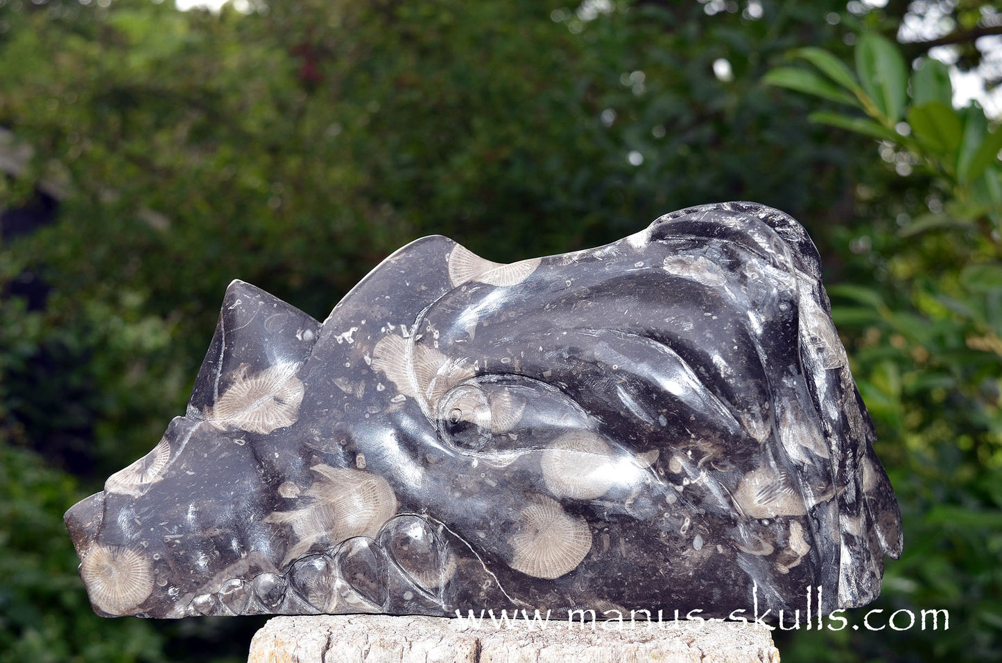 Large Frosterley Marble Dragon