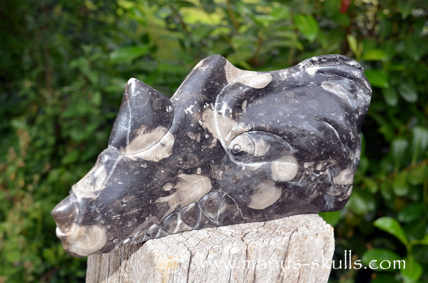 Large Frosterley Marble Dragon