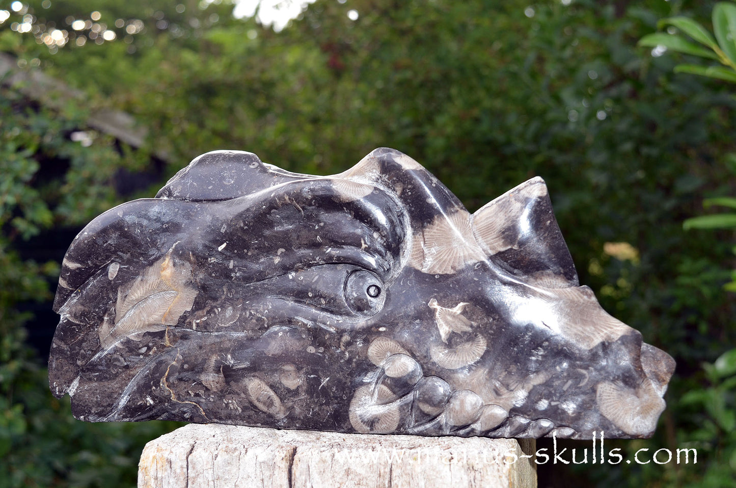 Large Frosterley Marble Dragon