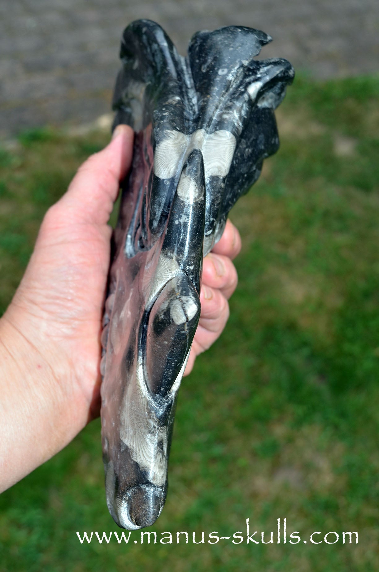 Large Frosterley Marble Dragon