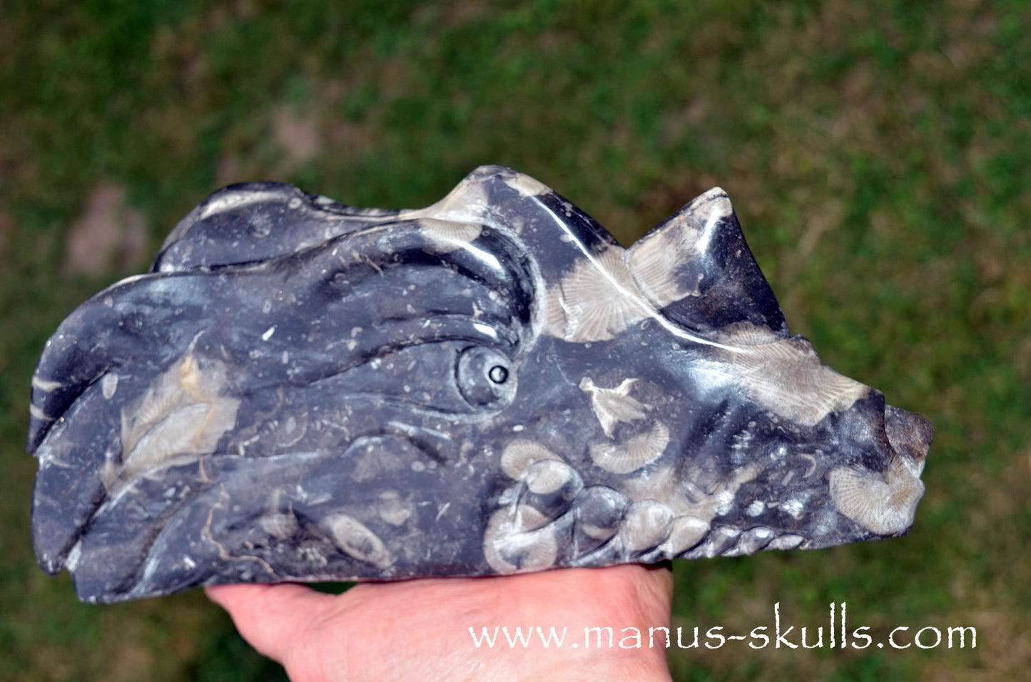 Large Frosterley Marble Dragon