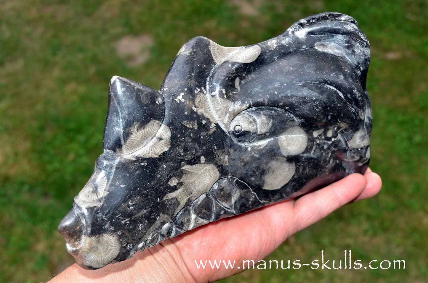 Large Frosterley Marble Dragon