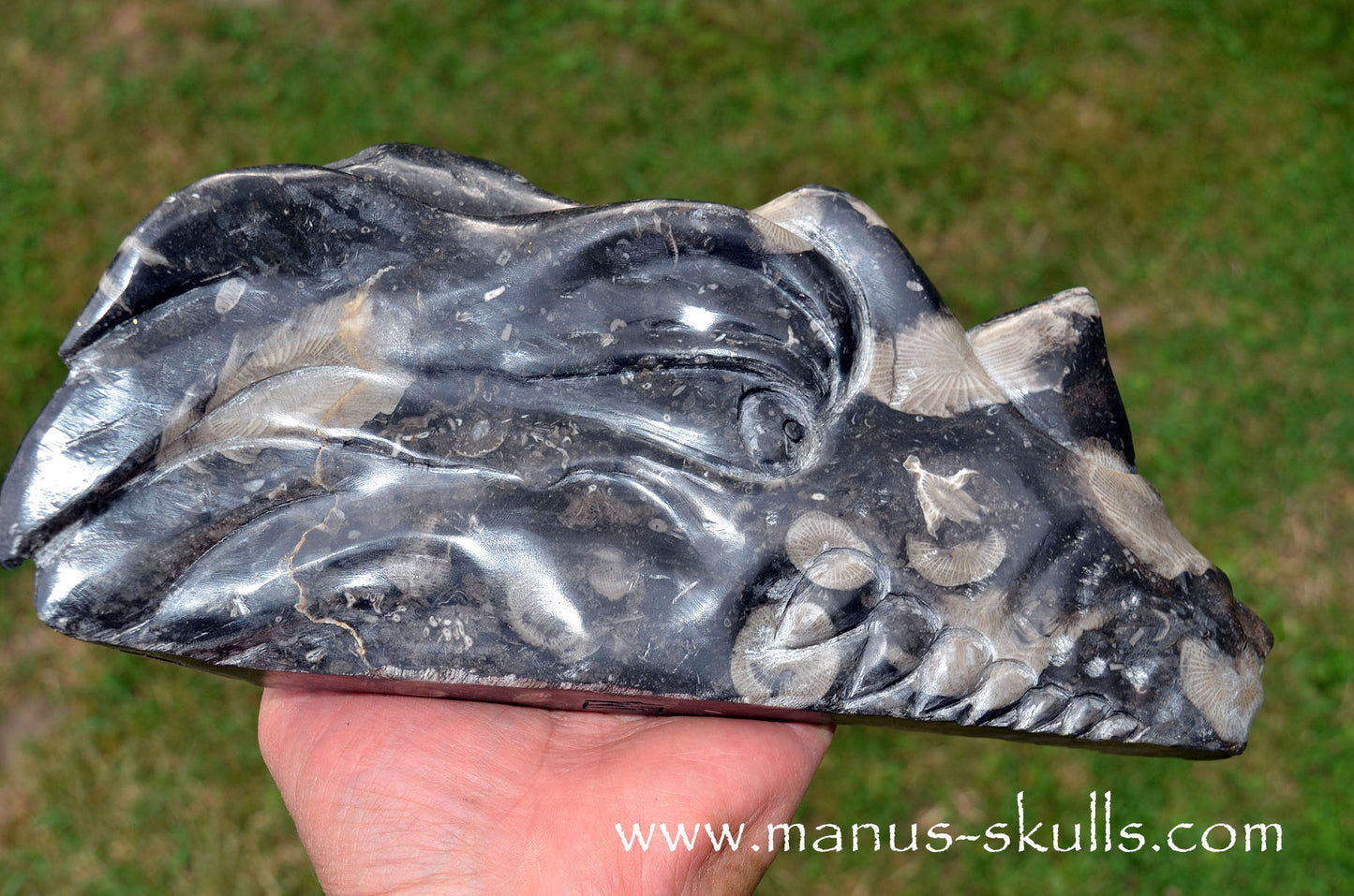 Large Frosterley Marble Dragon