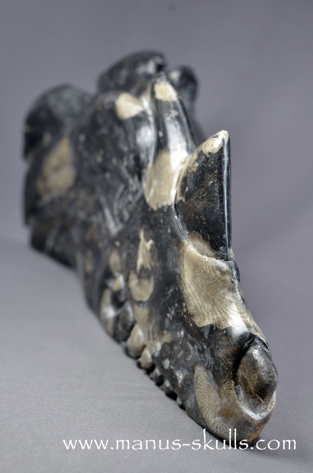 Large Frosterley Marble Dragon