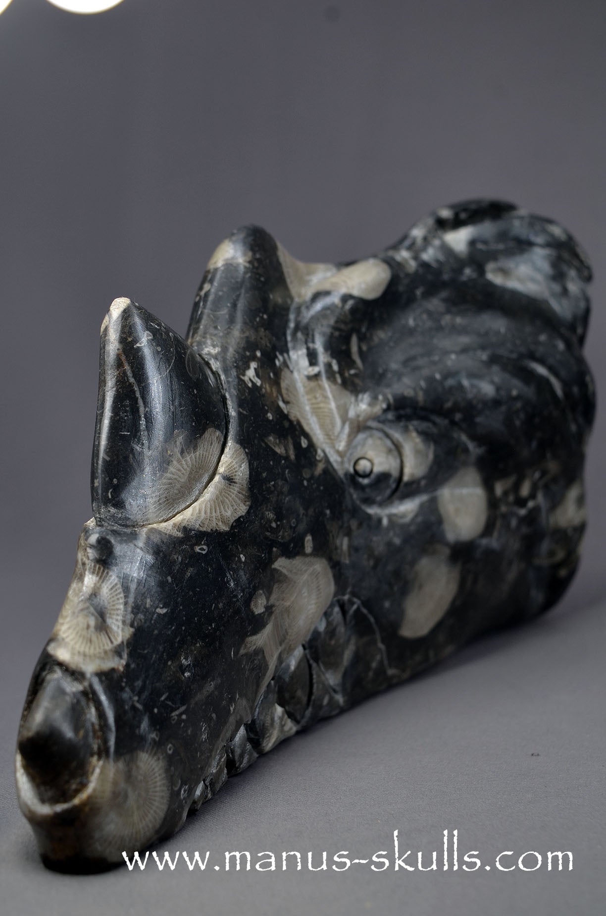 Large Frosterley Marble Dragon