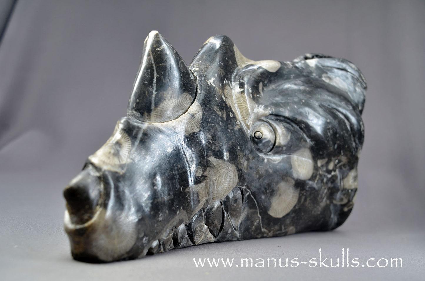Large Frosterley Marble Dragon