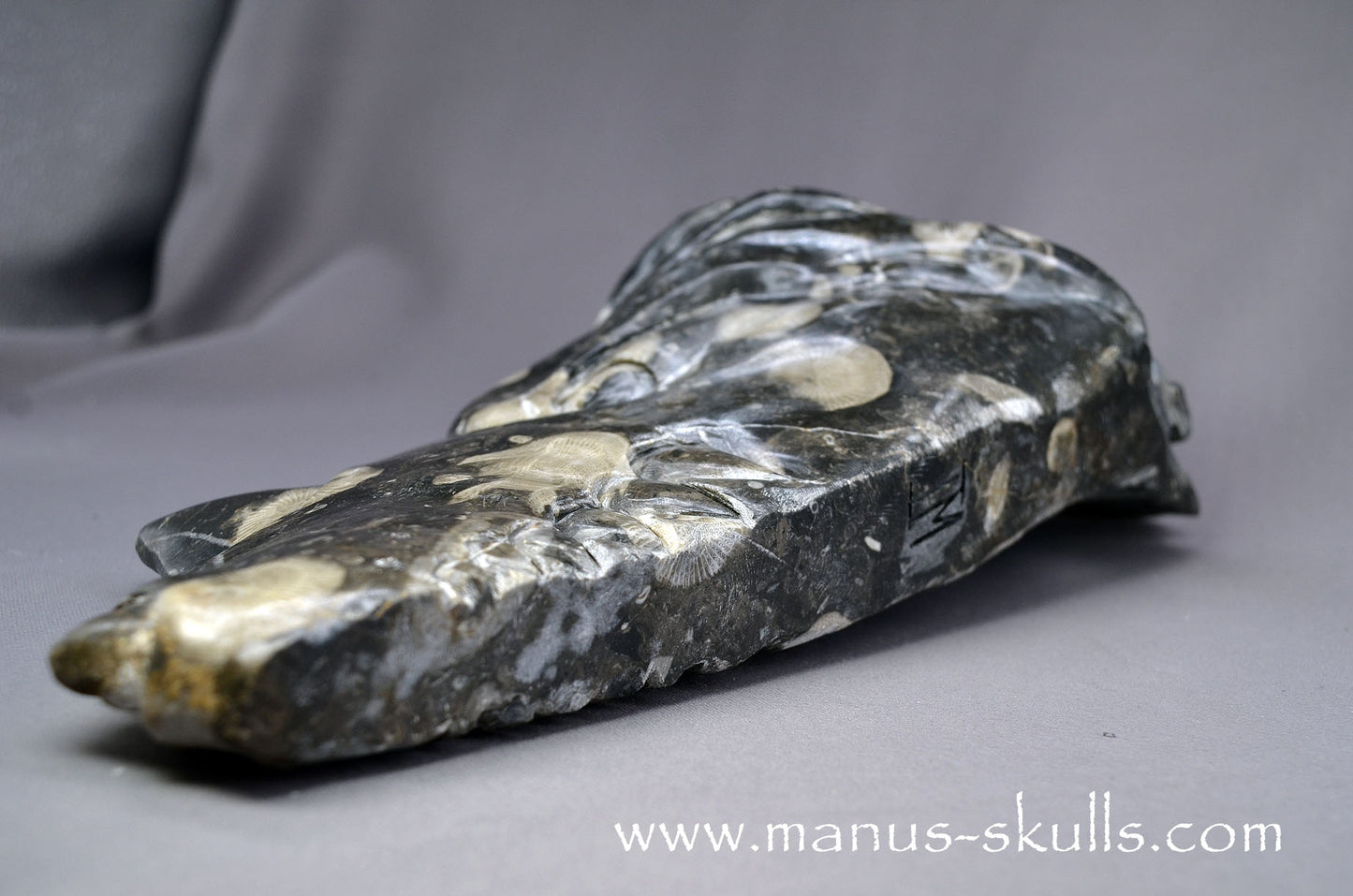 Large Frosterley Marble Dragon