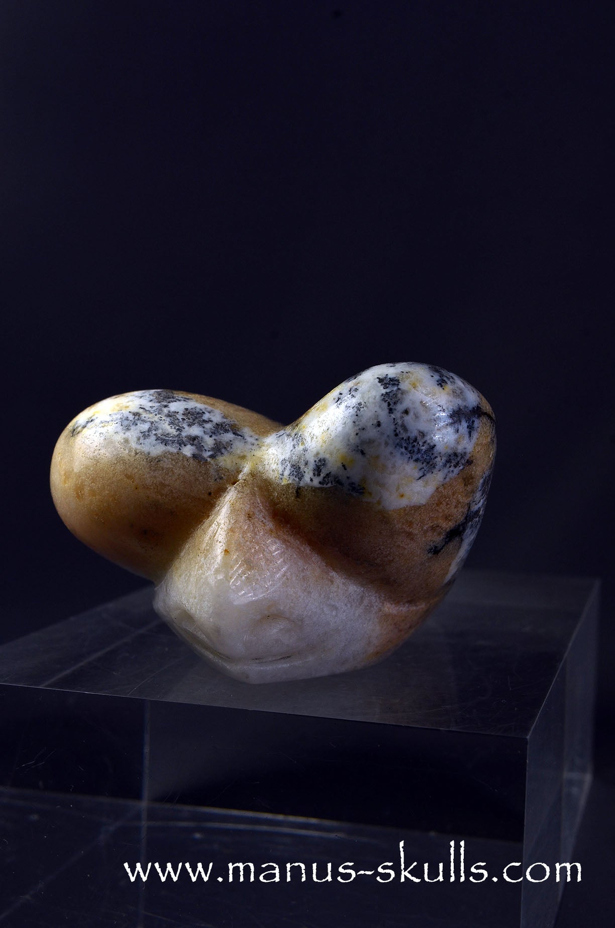 Dendritic Agate Dragolian. (#37)