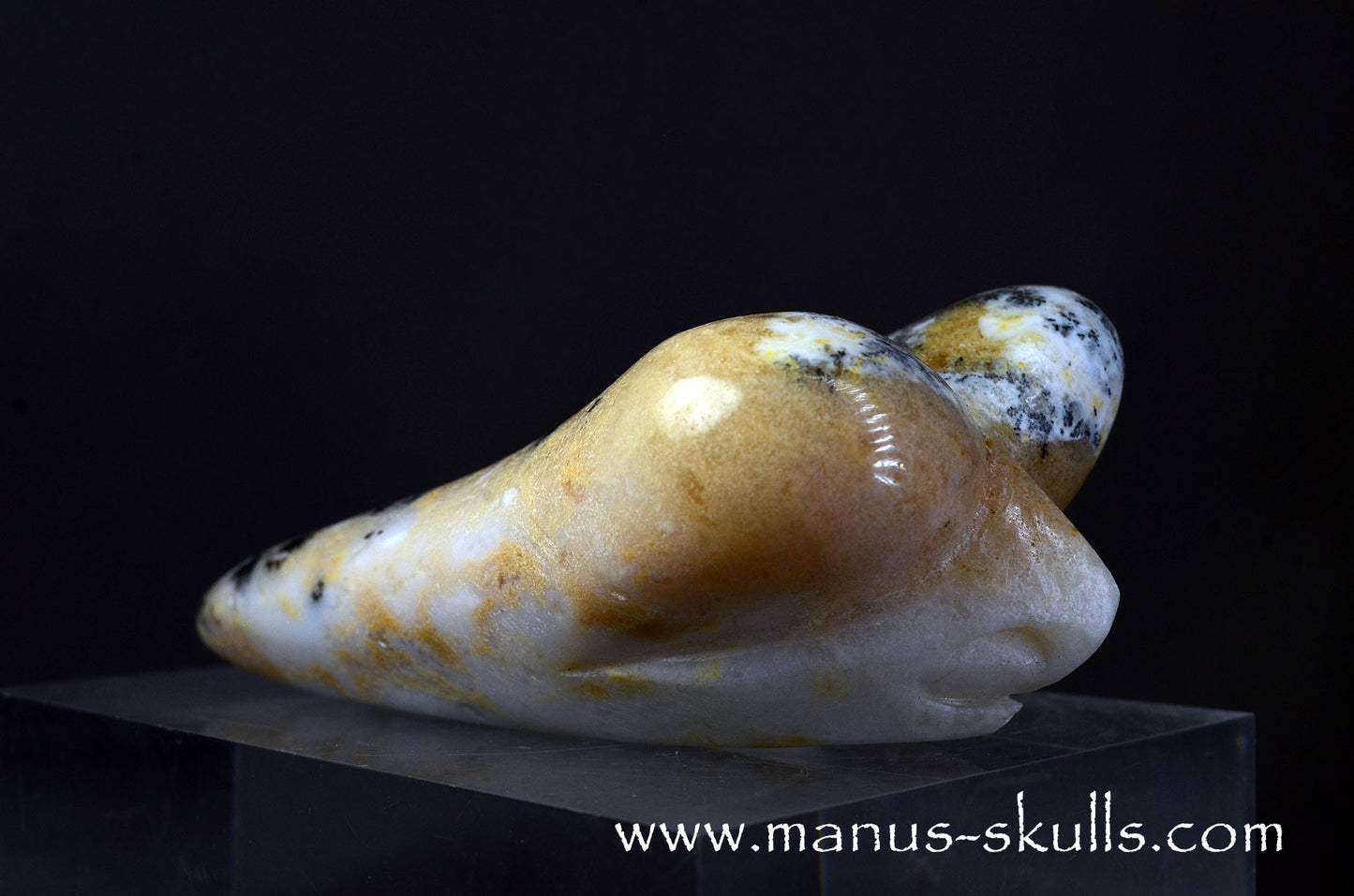 Dendritic Agate Dragolian. (#37)