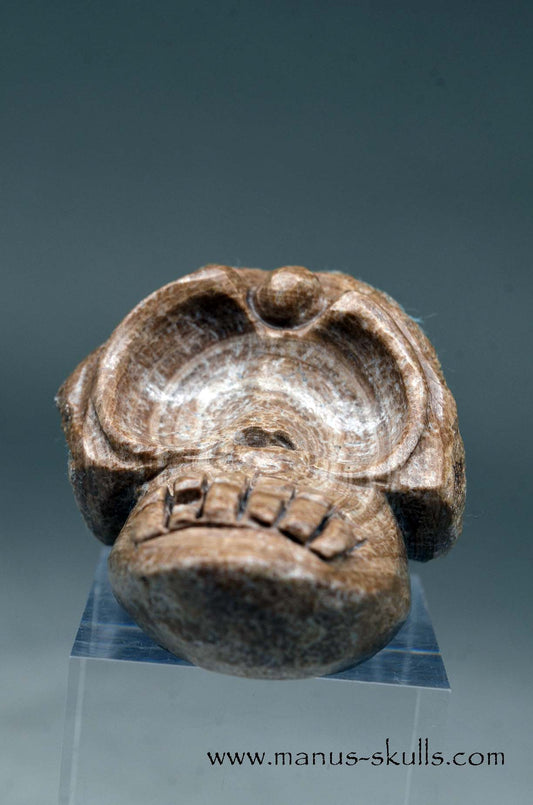 Evolian Manus SKULL