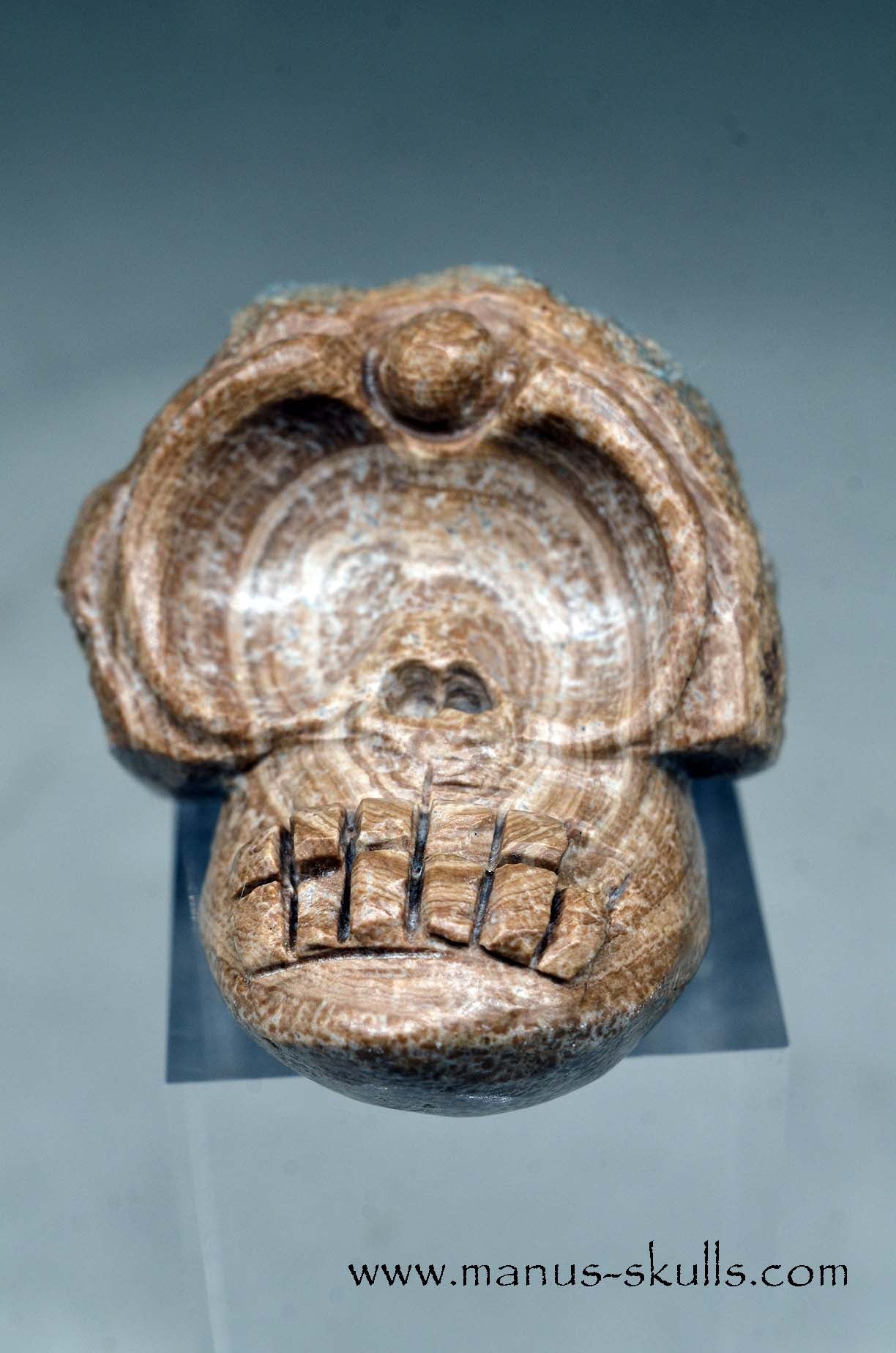 Evolian Manus SKULL
