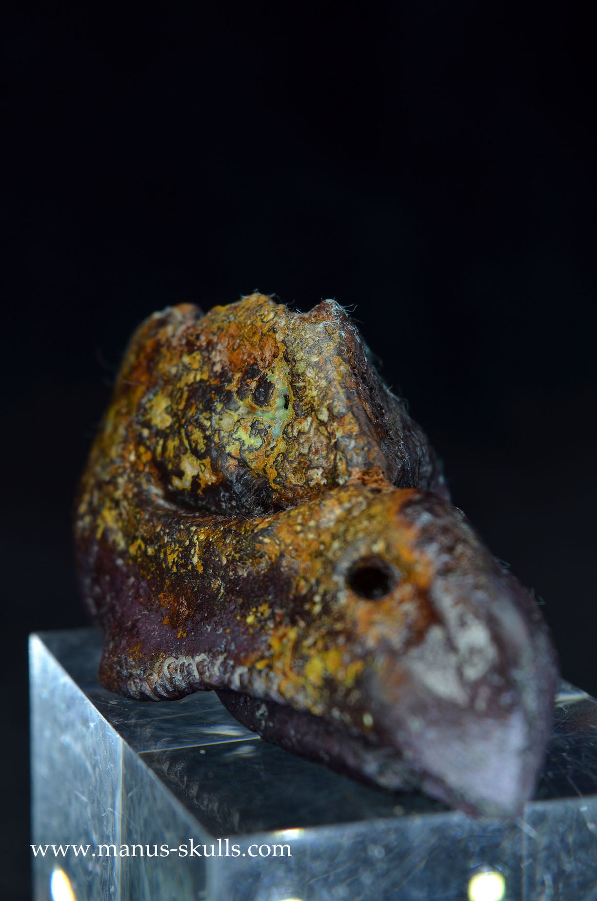 Manus skulls unique Crystal Carvings handmade skulls dragons pendants preseli bluestone tribals spiritual meaning wand Unicorn ..  cuprite bird skull dragon