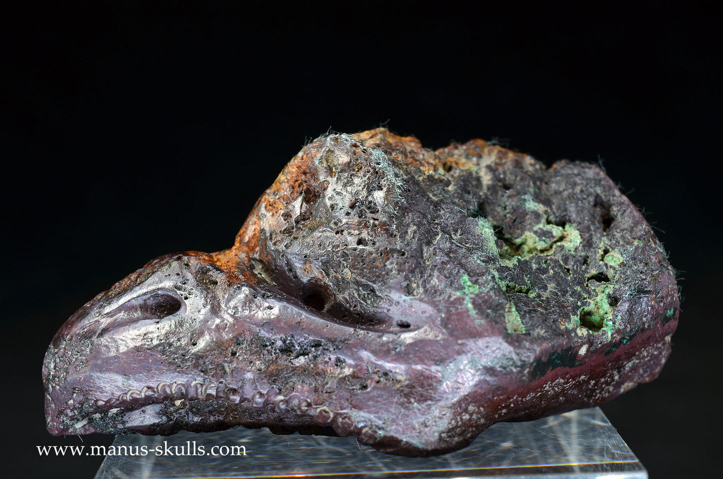 Cuprite (Bisbee USA) Dragon Bird