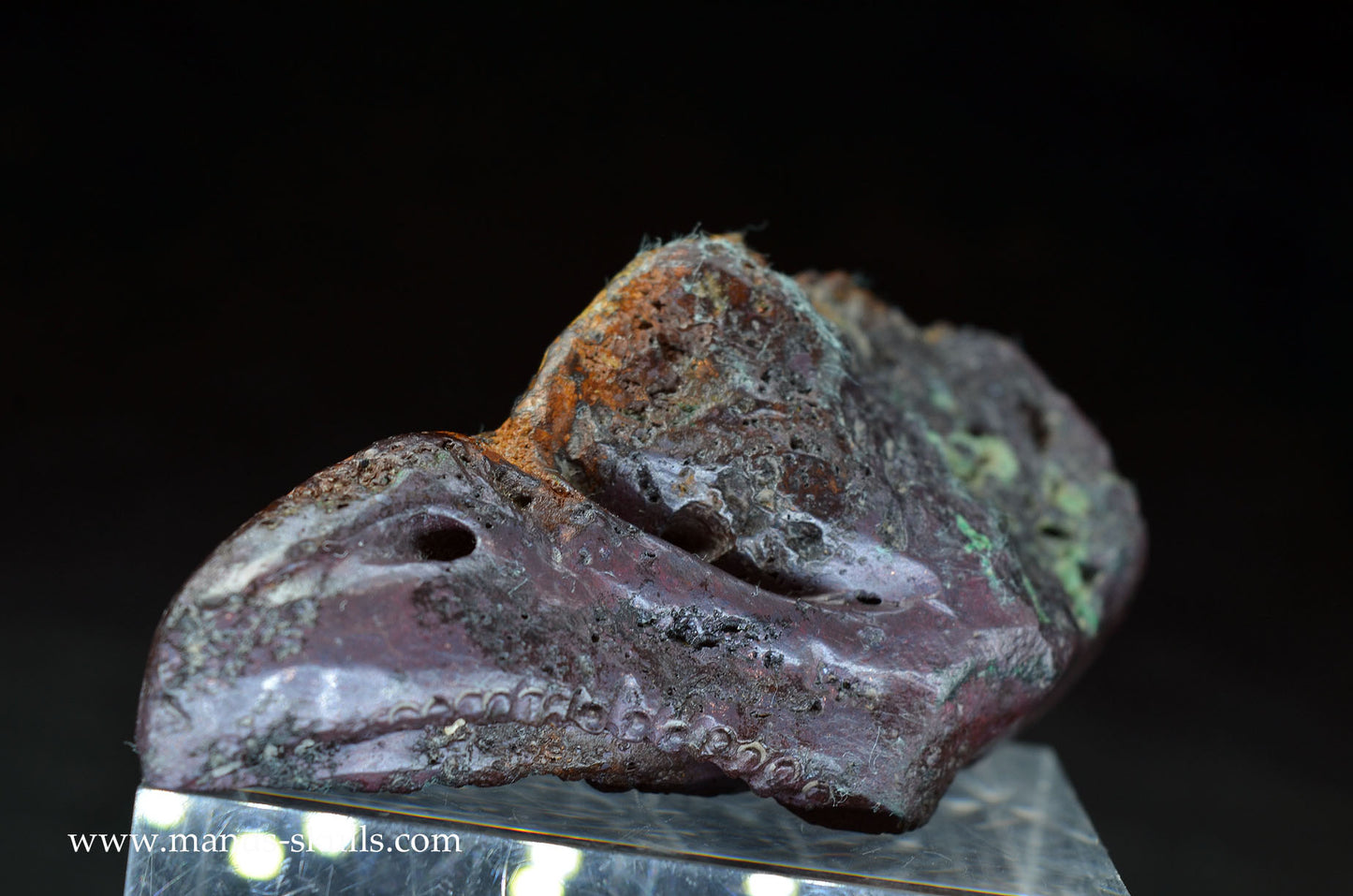 Cuprite (Bisbee USA) Dragon Bird