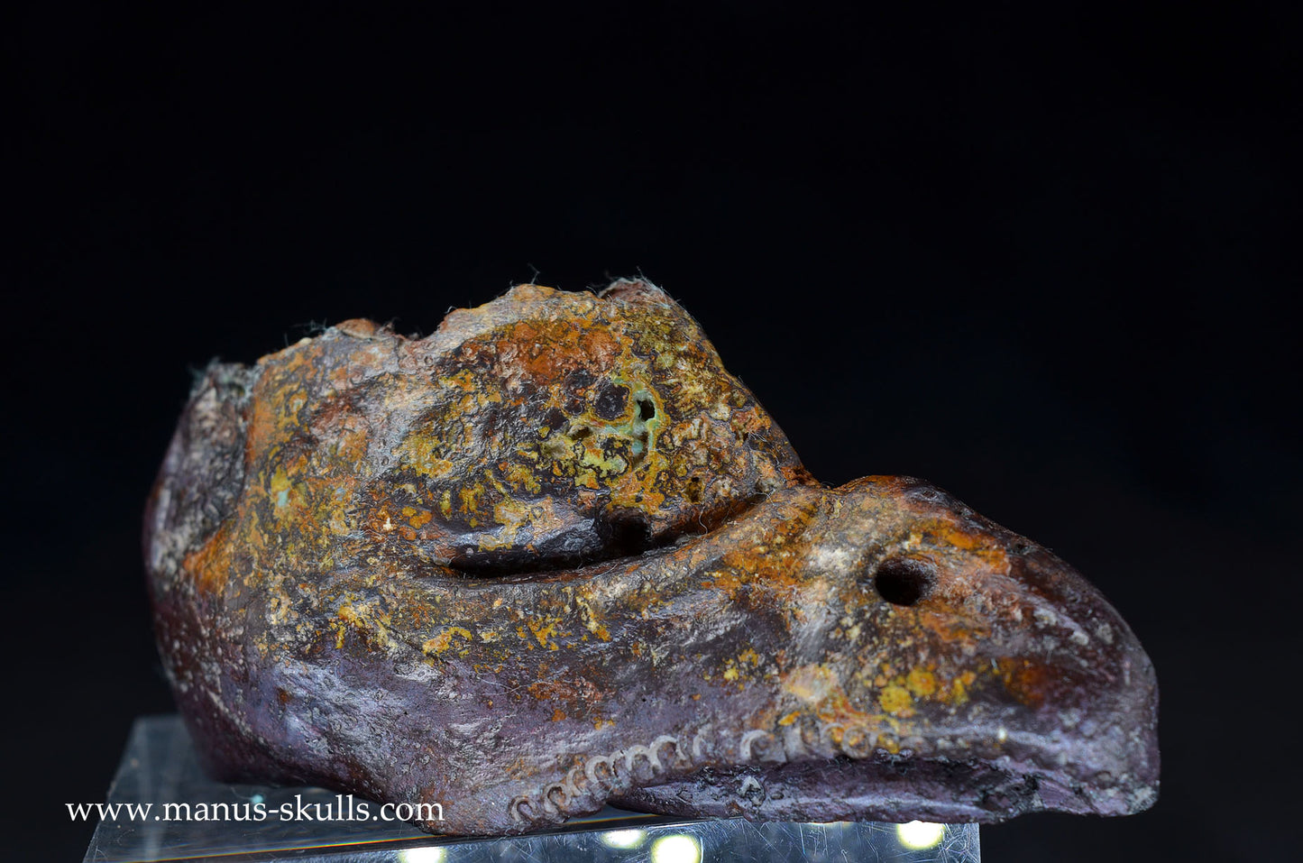 Cuprite (Bisbee USA) Dragon Bird