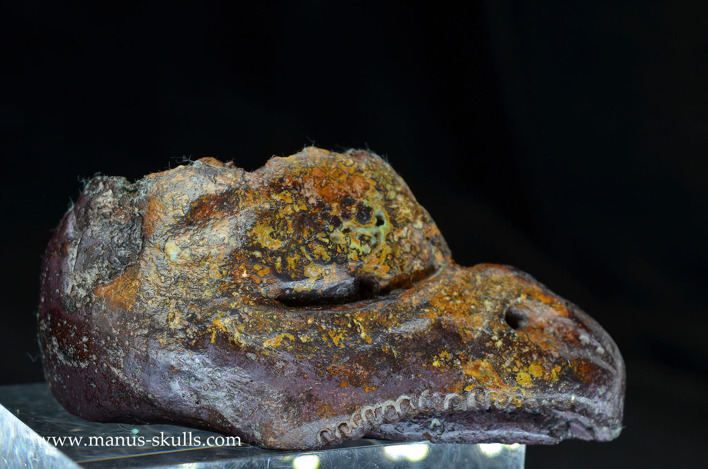 Cuprite (Bisbee USA) Dragon Bird