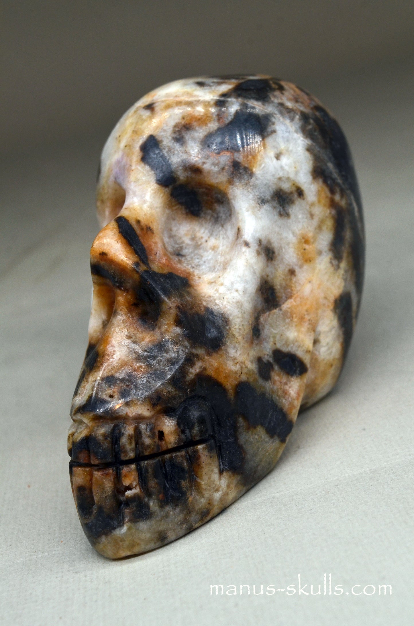 Zebra Agate Skull