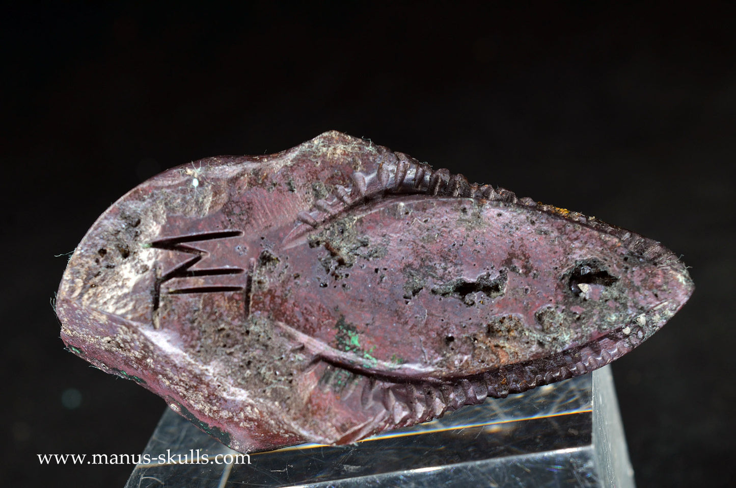 Cuprite (Bisbee USA) Dragon Bird