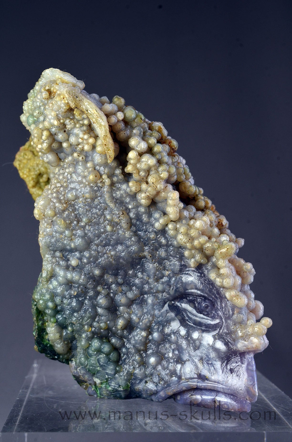 Manus skulls Evolians Dragolians unique Crystal Carvings handmade skulls dragons pendants preseli bluestone tribals spiritual meaning wand Unicorn .. grape agate