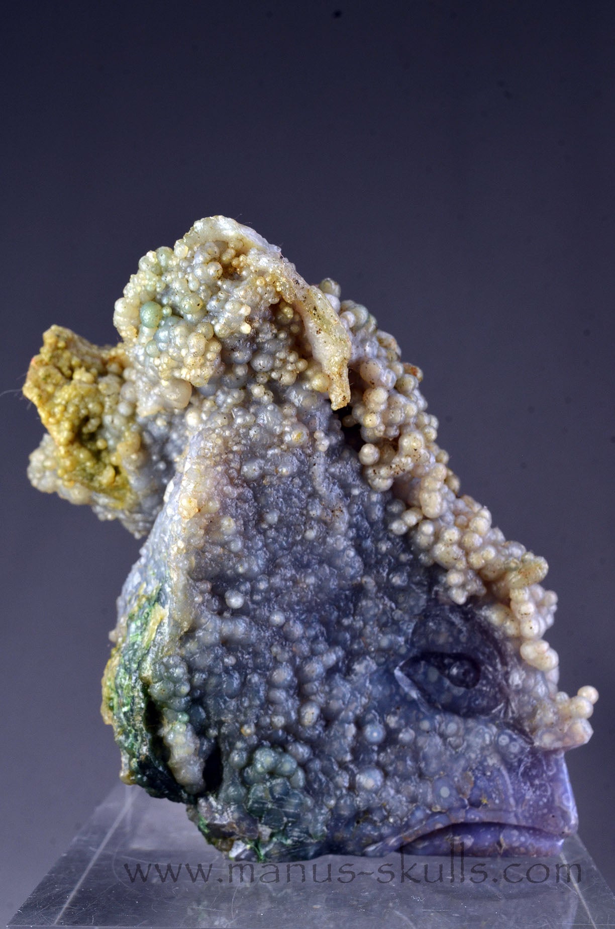 Manus skulls Evolians Dragolians unique Crystal Carvings handmade skulls dragons pendants preseli bluestone tribals spiritual meaning wand Unicorn .. grape agate