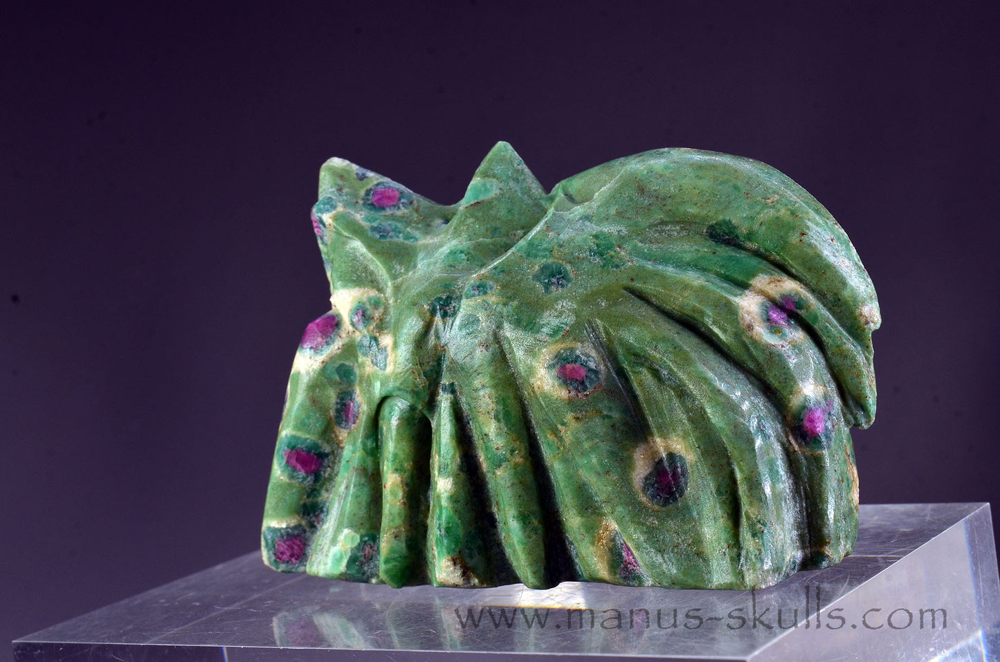 Ruby in Fuchsite Dragon