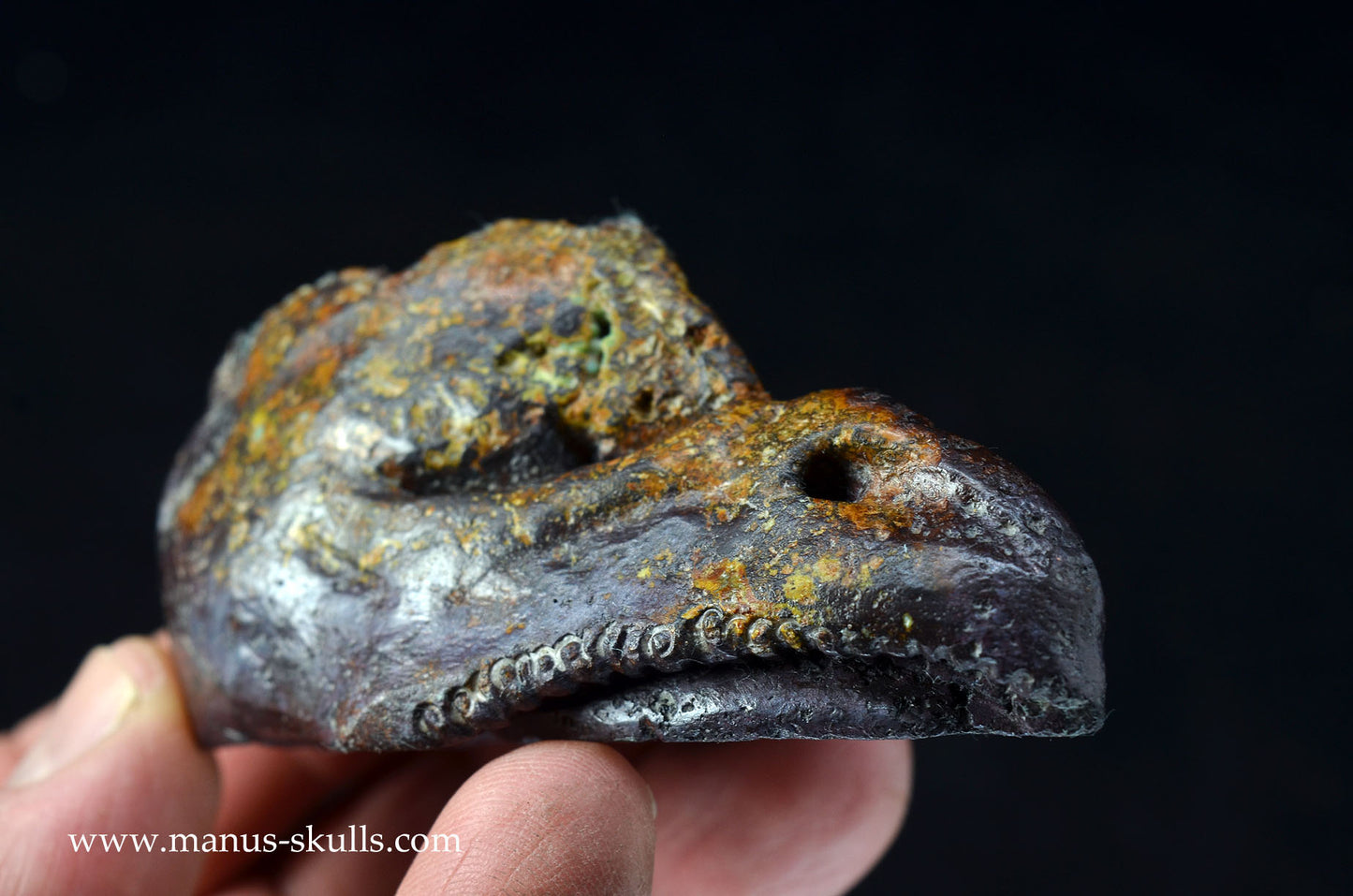 Cuprite (Bisbee USA) Dragon Bird
