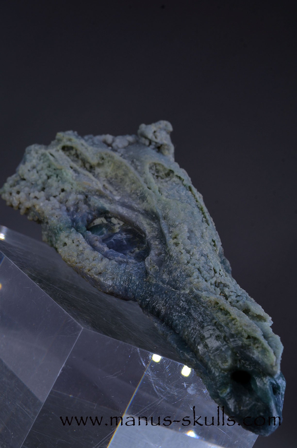 Grape Agate Dragon