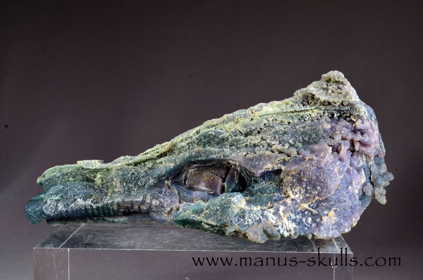 Grape Agate Dragon