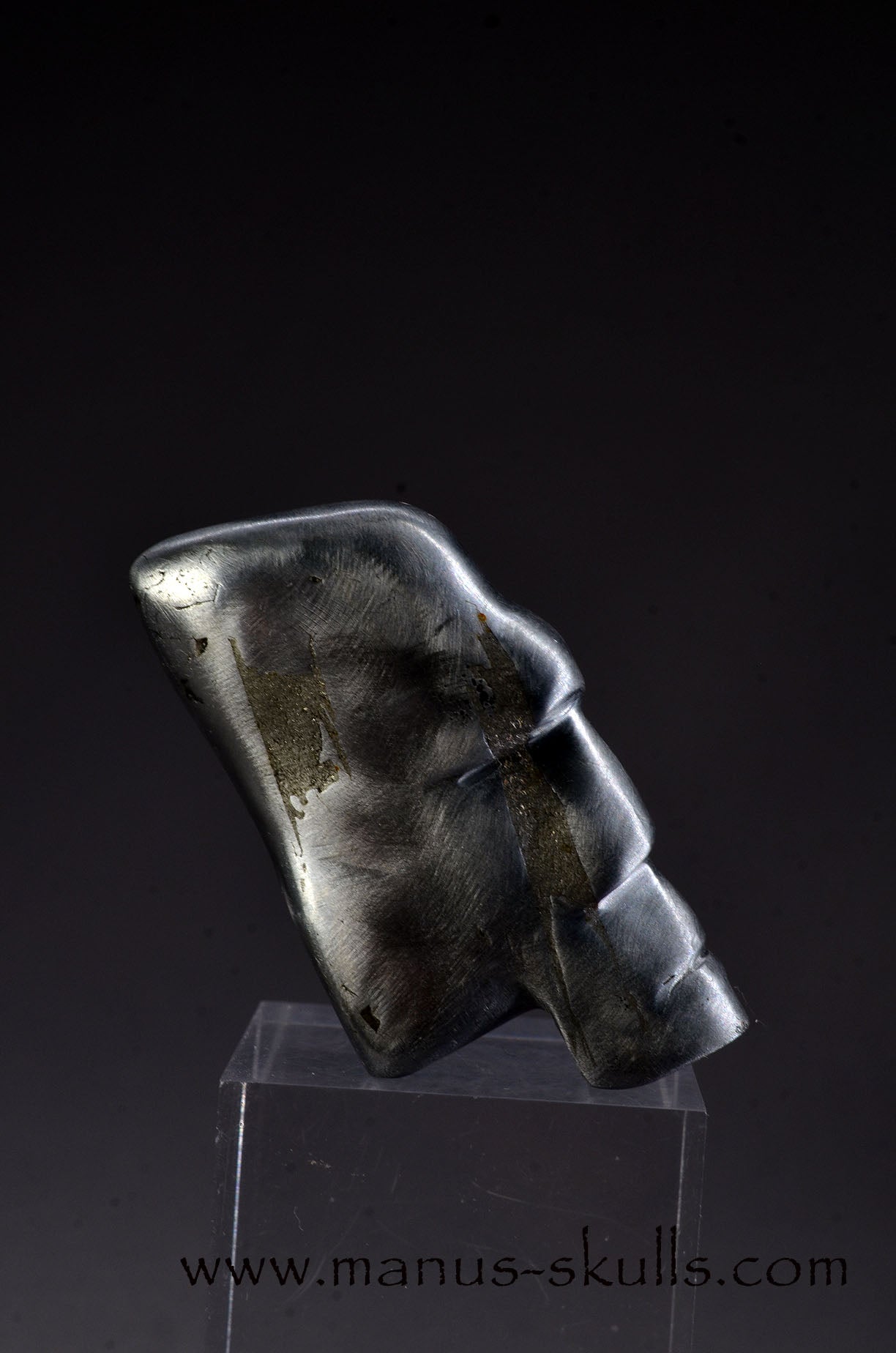 Aletai Iron Meteorite Tribal Skull