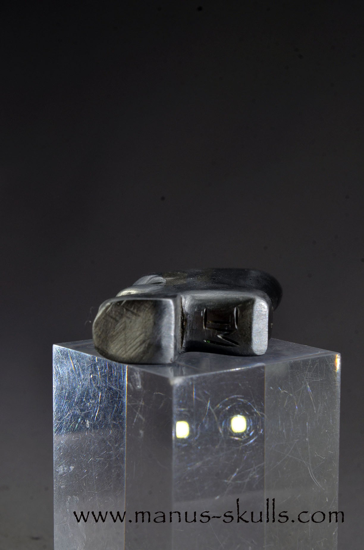 Aletai Iron Meteorite Tribal Skull
