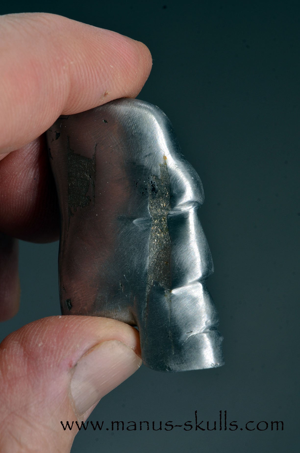 Aletai Iron Meteorite Tribal Skull