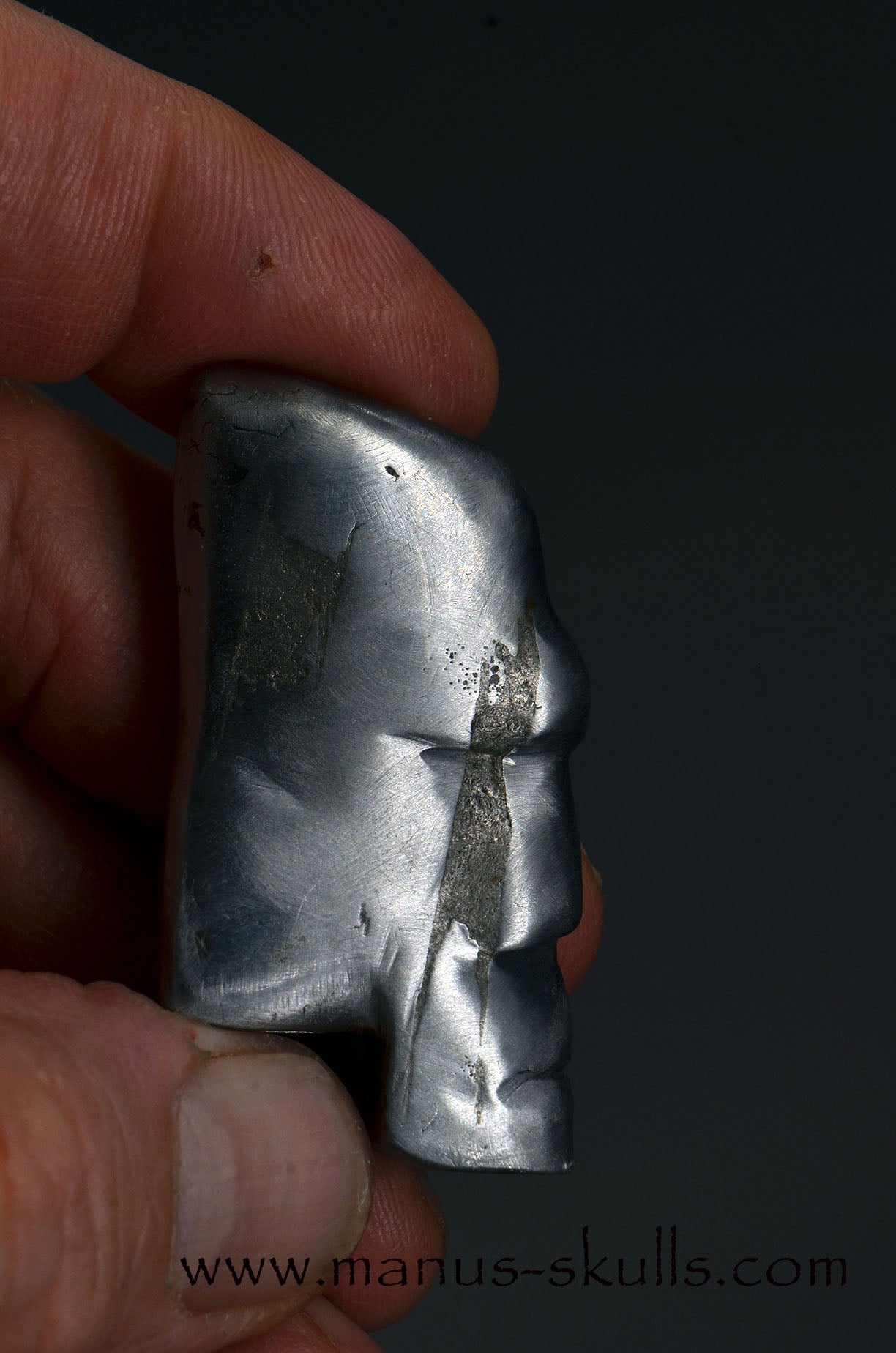 Aletai Iron Meteorite Tribal Skull